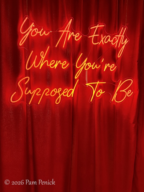 Austin homes on 2026 Tribeza Interiors Tour, Part 4: Chateau Chloe