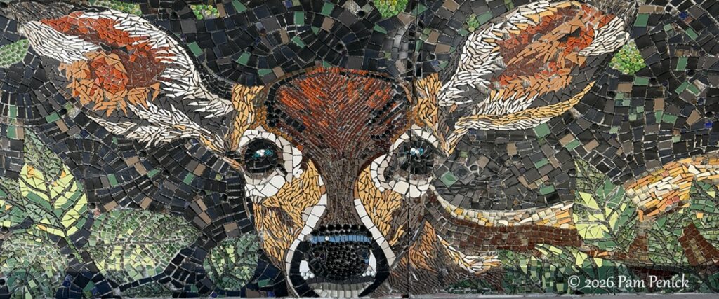 Austin’s new Wishbone Bridge and mosaic art tunnel