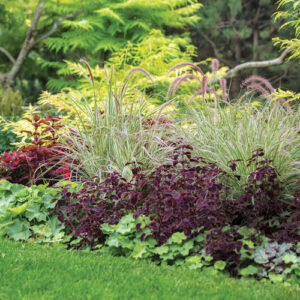 Strategies for Reinventing a Mature Garden Without Starting Over