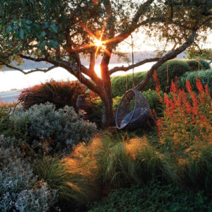Embrace the Wild Beauty of a Naturalistic Garden