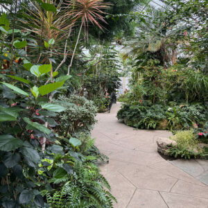 GPOD on the Road: Centennial Park Conservatory