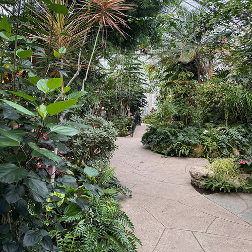 GPOD on the Road: Centennial Park Conservatory