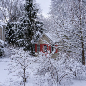 Kevin’s Winter Garden that Supports Wildlife