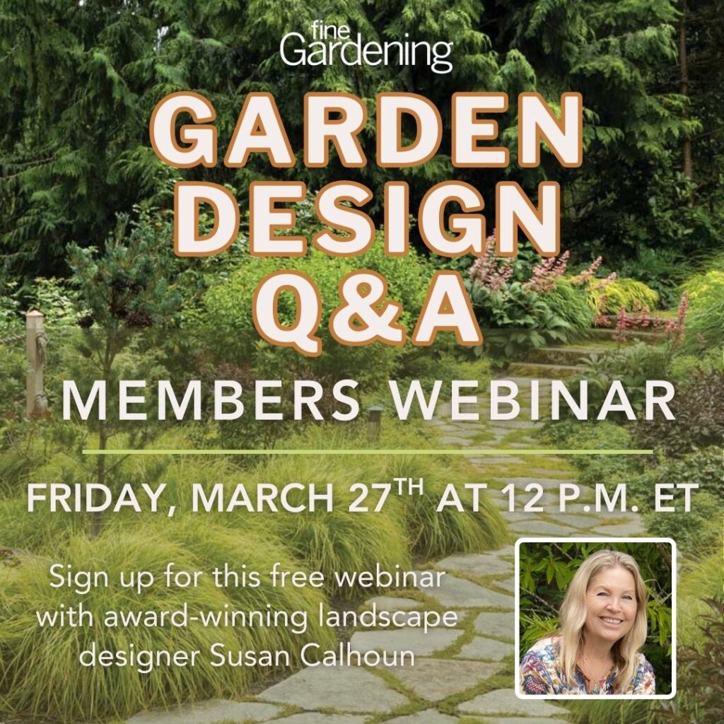 Ask an Expert: Garden Design Q&A with Susan Calhoun