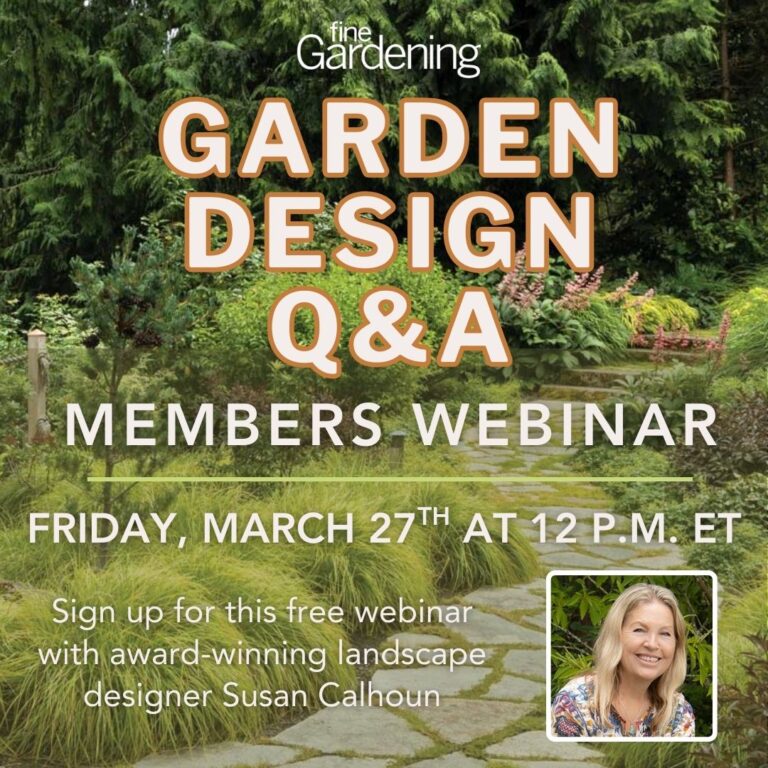 Ask an Expert: Garden Design Q&A with Susan Calhoun
