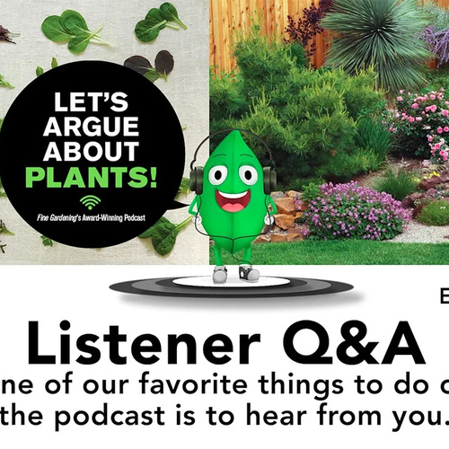 Episode 191: Garden Q&A from Our Listeners