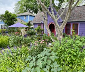 Festive color in Lucinda Hutson’s casita garden