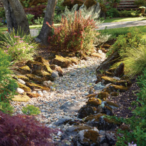 Strategic Site Water Management for Gardeners