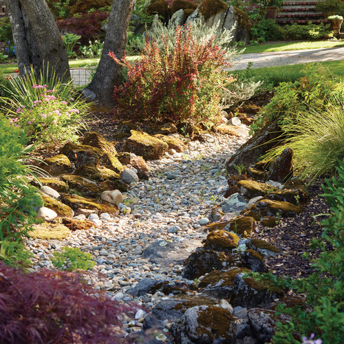Strategic Site Water Management for Gardeners