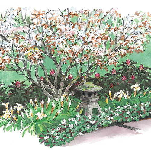 Expert Spring Garden Layout for the Pacific Northwest