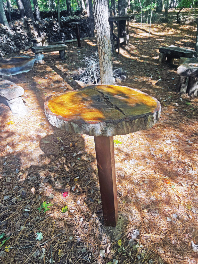 Reader Tips: Smart Solutions for Common Garden Challenges