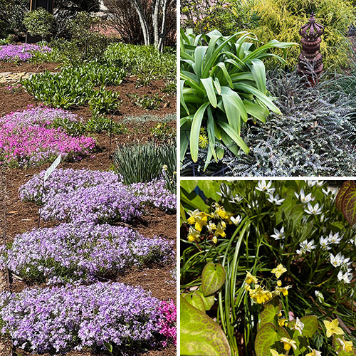 It is Time to Celebrate Spring!