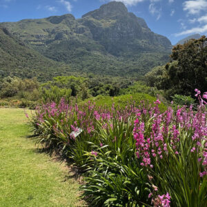 GPOD on the Road: Kirstenbosch National Botanical Garden, Part 2