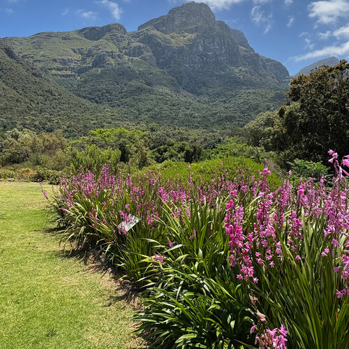 GPOD on the Road: Kirstenbosch National Botanical Garden, Part 2