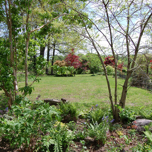 An Early Look at Linda’s Spring Garden in Illinois