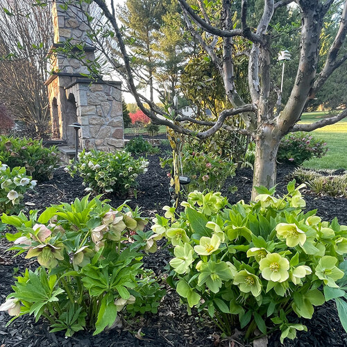 Rhonda’s Spring Garden in Pennsylvania