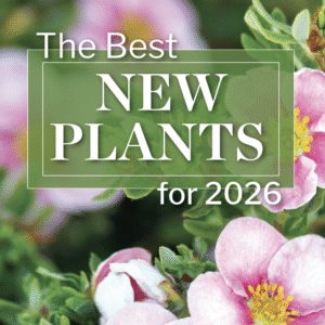 The Best New Plants for 2026