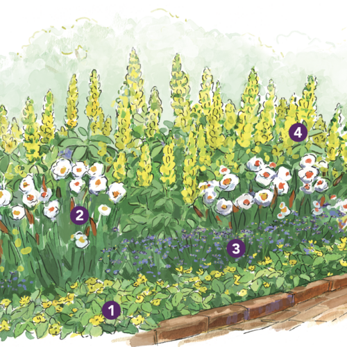 Expert Spring Garden Layout for the Mid-Atlantic