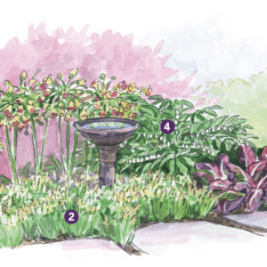 Expert Spring Garden Layout for the Midwest