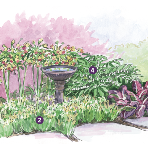 Expert Spring Garden Layout for the Midwest