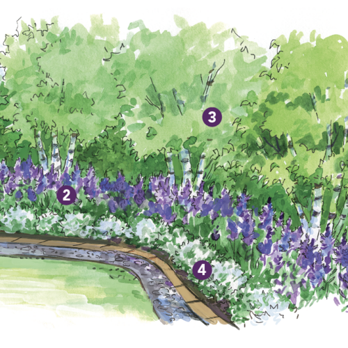 Expert Spring Garden Layout for the Northeast