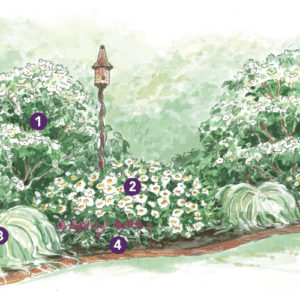 Expert Spring Garden Layout for the Southeast
