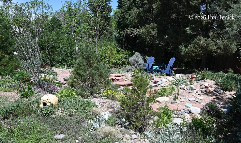 John Murgel’s waterwise garden is “not Arizona”