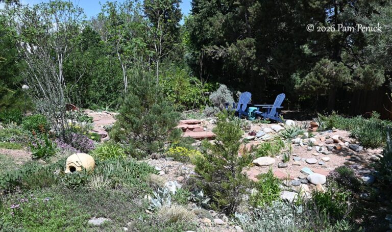 John Murgel’s waterwise garden is “not Arizona”