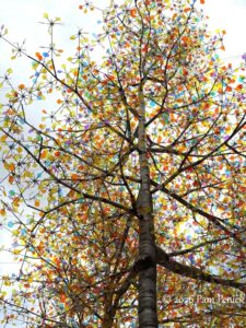 Downtown Denver art: Aspen Light and Big Blue Bear