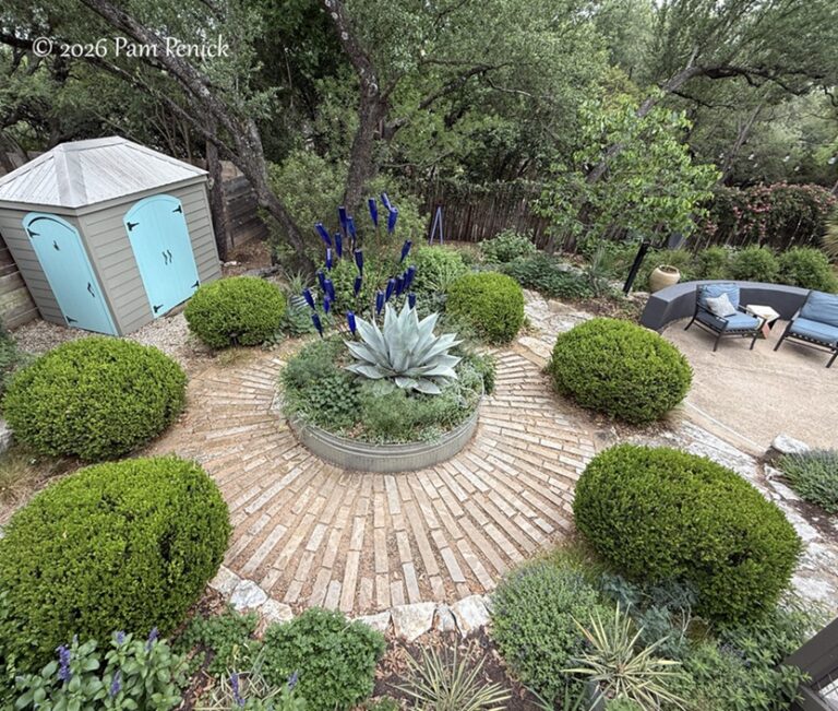 Goodbye to my garden; hello to my next garden adventure