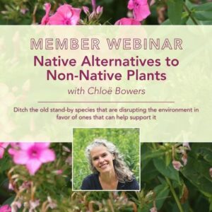 Webinar: Native Alternatives to Non-Native Plants