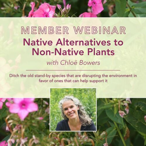 Webinar: Native Alternatives to Non-Native Plants