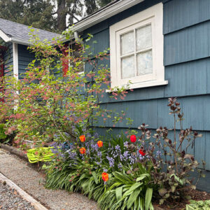 Mother and Daughter Make an Old Garden New in British Columbia