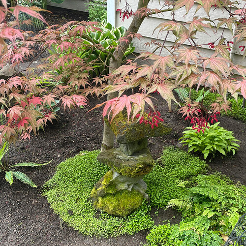 Lila’s Spring Garden in the PNW
