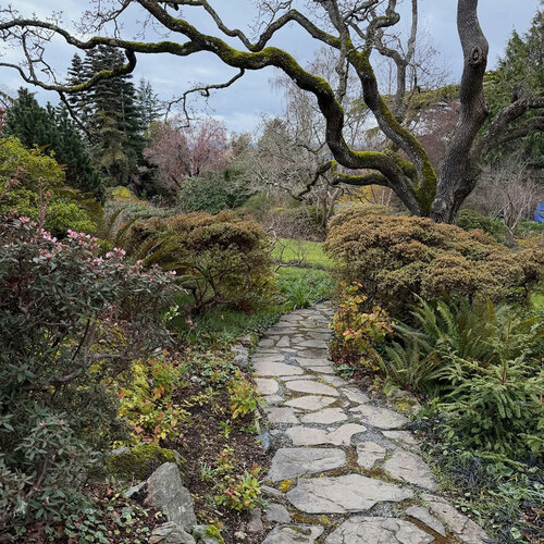 GPOD on the Road: Late Winter at Abkhazi Garden