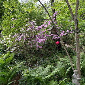 Early May in Carla’s Garden, Part 1