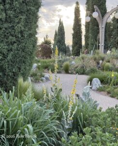 Mid-June blooms at Denver Botanic Gardens