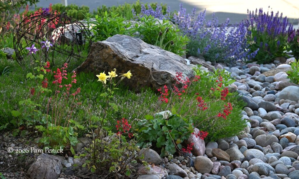 Ryan and Allison’s rock garden blooms in Castle Rock