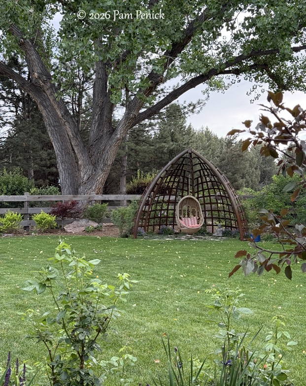 Judy’s new garden is an invitation to lounge, play, and harvest