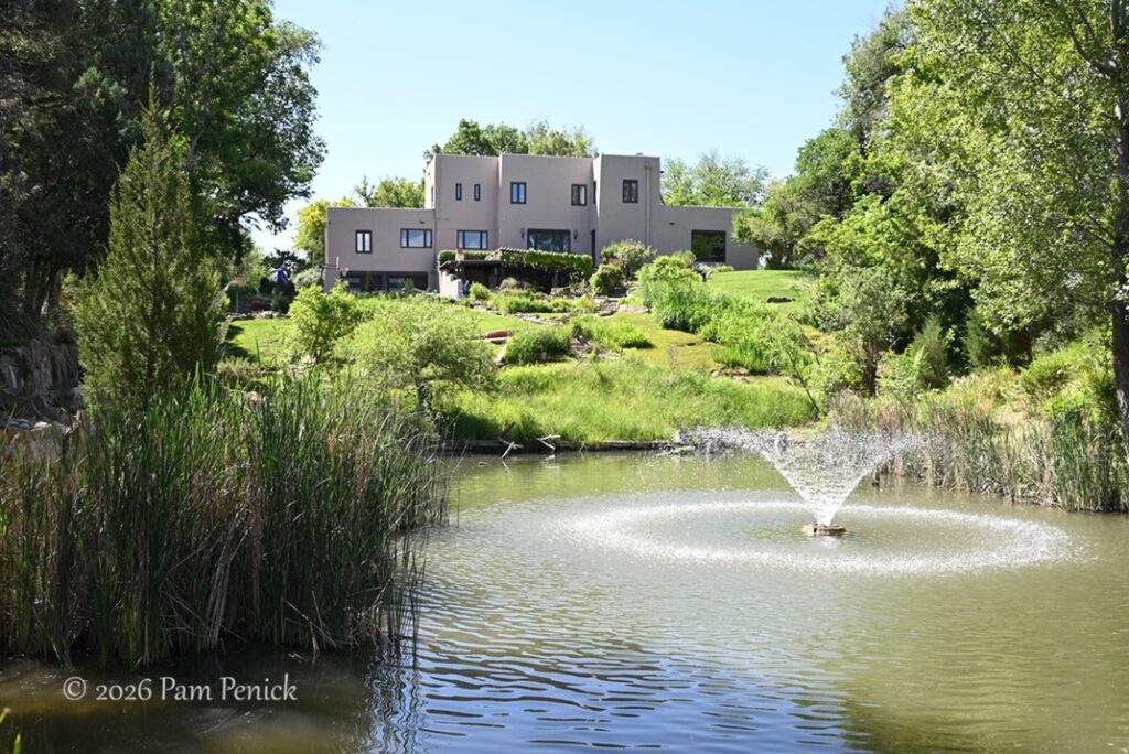 Pueblo Open Days: Wetland meets xeriscape in Conrad Family Garden