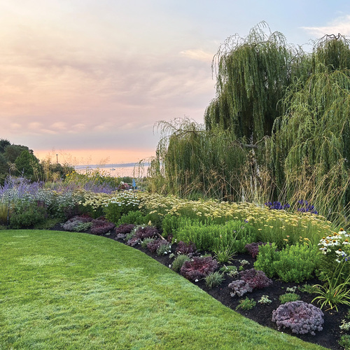 How to Achieve a Cohesive Garden Design with Color, Texture, and Repetition