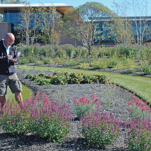 Behind the Scenes of Plant Evaluation at Chicago Botanic Garden Trials
