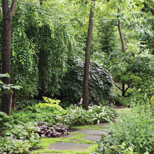 Woodland Garden Secrets: How to Design a Lush, Peaceful Shade Retreat