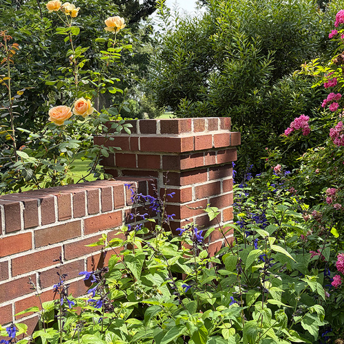 Mary’s Garden in Texas – Fine Gardening