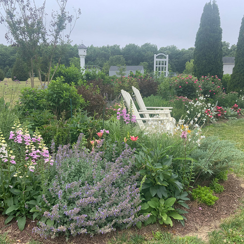 Late Spring Color from Teresa’s Garden in Maryland