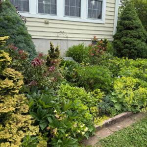 Carol’s Cottage Garden in Pennsylvania