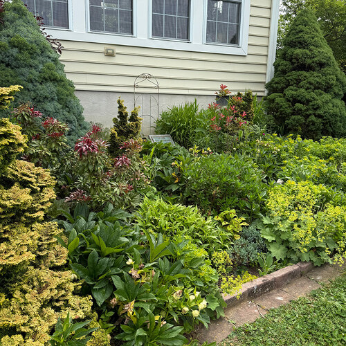 Carol’s Cottage Garden in Pennsylvania