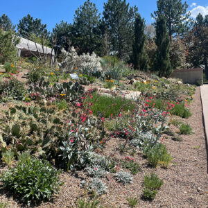 GPOD on the Road: Denver Botanic Garden in Spring