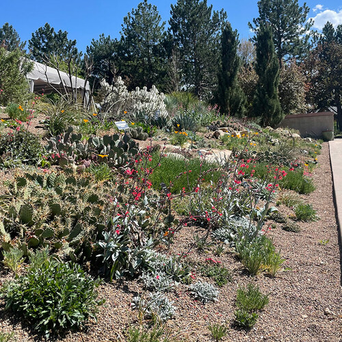 GPOD on the Road: Denver Botanic Garden in Spring