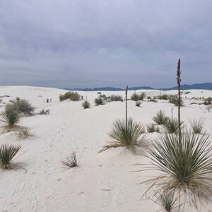 GPOD on the Road: Spring at White Sands National Park